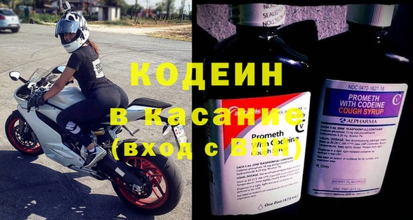 кокс Ельня