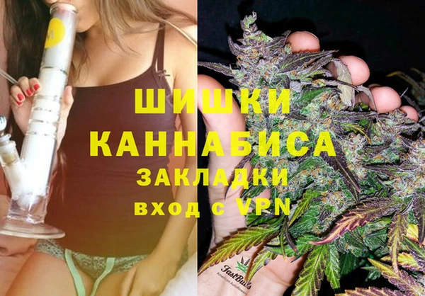 кокс Ельня