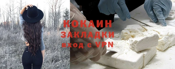кокс Ельня