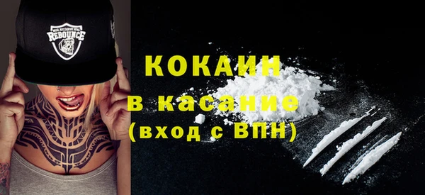 кокс Ельня