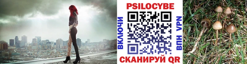 ОМГ ОМГ зеркало  Ирбит  Галлюциногенные грибы Magic Shrooms  наркошоп 