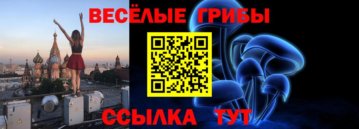 Ирбит  Галлюциногенные грибы мицелий  Вход с VPN 